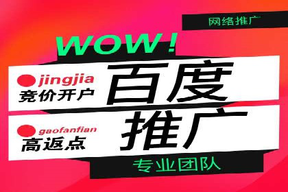 专业SEM托管服务，效果显著的案例展示